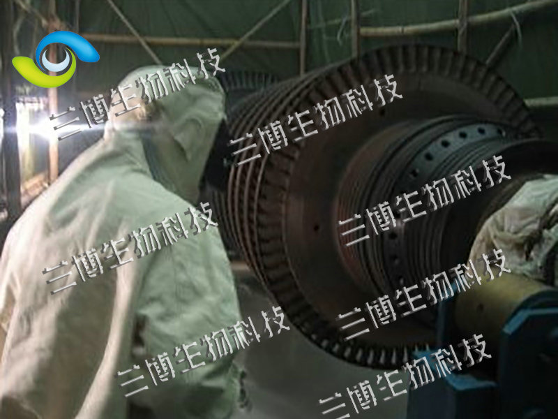 汽轮机转子隔板清洗