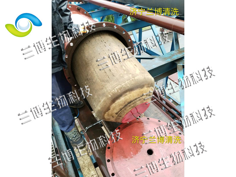 PIG清洗通球