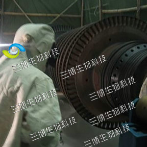 汽轮机转子隔板清洗